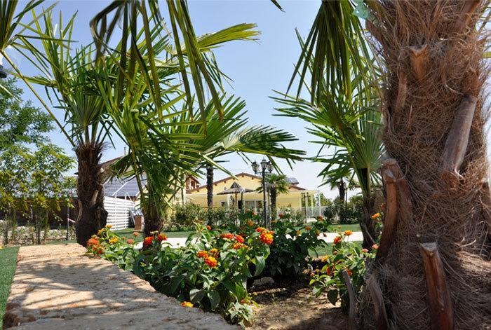 Locanda Del Lupo Faenza Esterno foto